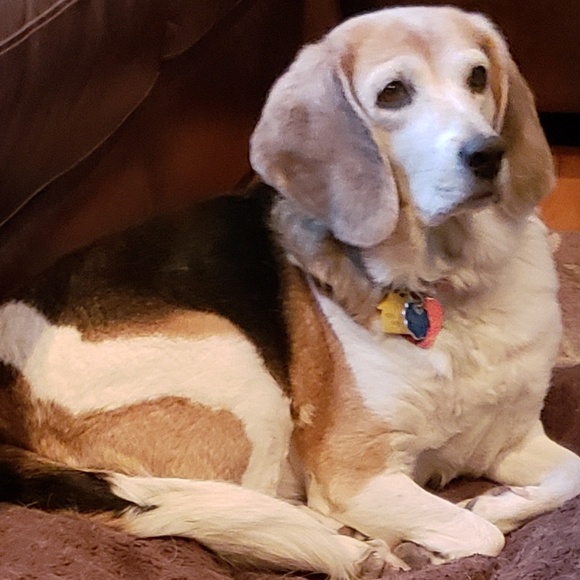 Meet your 🎉♥️💐Poshmark Ambassador💐♥️🎉 - Picture 2 of 3